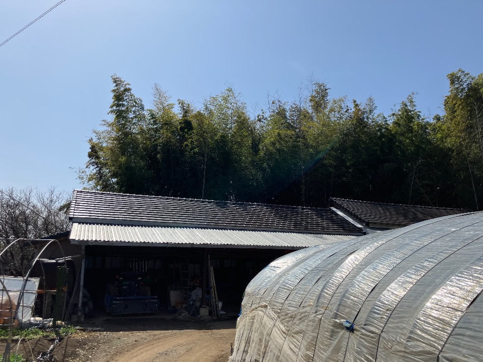 BEFORE画像